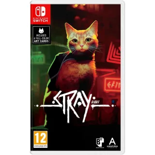 Stray ezone maroc avito electroplanet